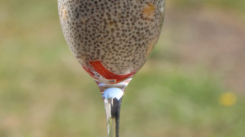 Recette pudding graines de chia et fraises